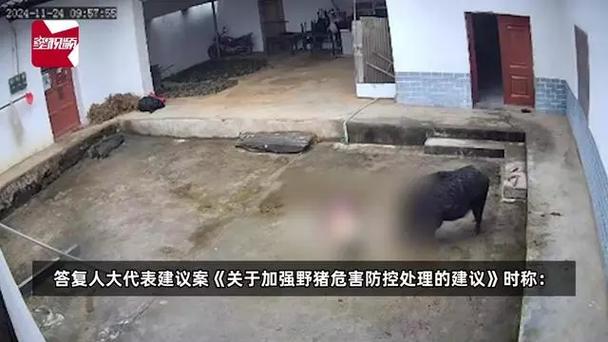 客户服务 第19页