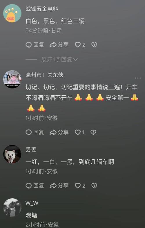 特斯拉坠河司机死亡,特斯拉坠河司机死亡事件