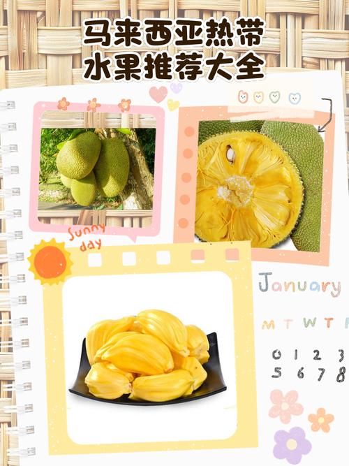 新闻中心 第4页